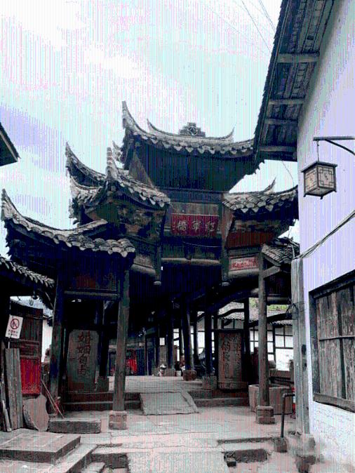 优雅的精灵