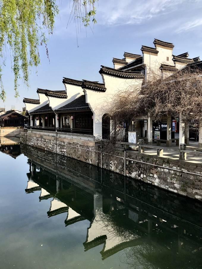 拯救蓝色小鸟